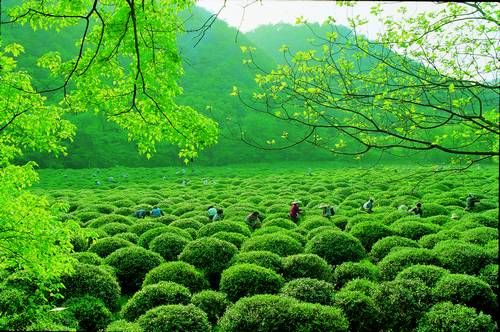 15844942117781789O7N.jpg U7117P704DT20120417142306.jpg