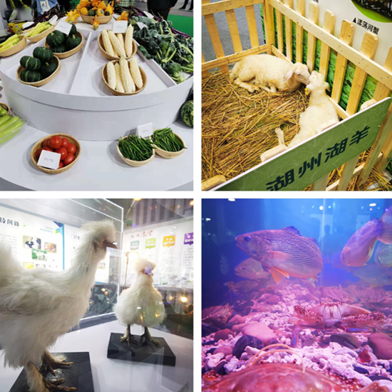 1621316936807158qABk.png 257819fd-451a-4b57-8d27-05929290ca33.png