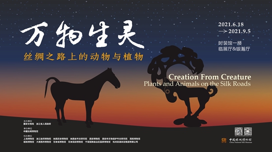 1622164296150687TmjL.jpg 3.jpg