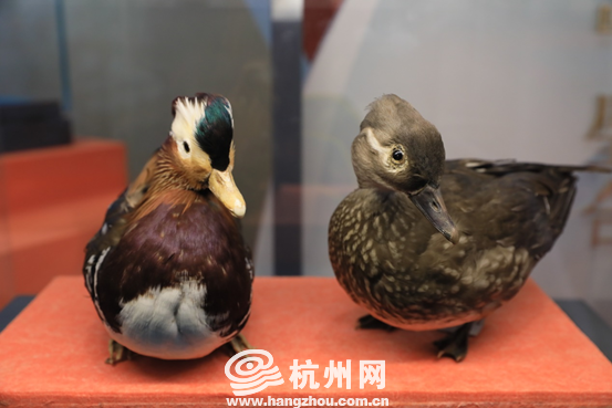 1624344181215450oE6h.png 3.png