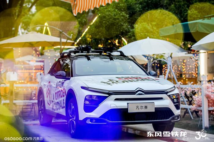 東風(fēng)雪鐵龍30周年慶活動(dòng)