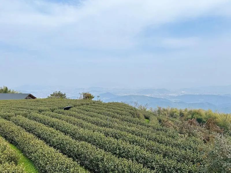 1718155056320405Q0am.jpg 微信圖片_20240612090727.jpg